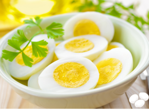 EGG
